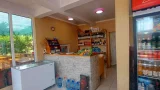 Золотая рыбка - Абхазия, Гагрский район, с. Лдзаа, ул. Агрба, д. 55